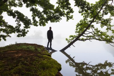 Siyah elbiseli bir adam sisli bir sabah sisinde gölün üzerindeki ağaçta duruyor. Çek manzarası