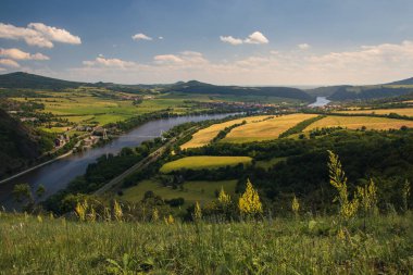 River Labe, Elbe çayır ve şehir hayatı kıyıya bakıyor. Çek manzarası