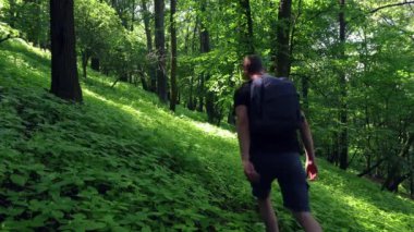 Sırt çantalı bir adam yaz yeşil ormanlarında yürüyor, Çek manzarası