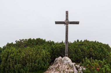 Avusturya 'daki Ahornkogel Dağı' nın zirvesinden geçerken sis içindeki ağaçla alp yapıyor.