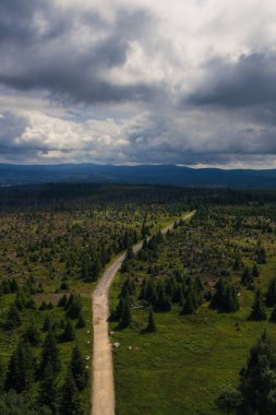 Dramatik gökyüzü ve tepesi olan turist yolu. Gözcü Kulesi Polednik, Ulusal Park Sumava, Çek manzarası