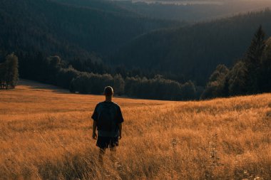 Sırt çantalı bir adam otların üzerinde çayırda duruyor. Çek turizm geçmişi, Sumava Ulusal Parkı 