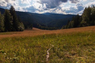 Ulusal Park 'taki güzel çayır vadisi Sumava, Çek manzara geçmişi