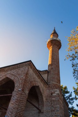 Hindi kulesi ve çatısında mavi gökyüzünde kuş olan geleneksel cami.
