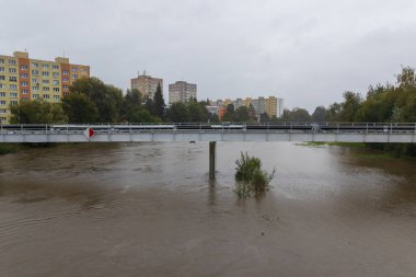 Ceske Budejovice, Çek Cumhuriyeti - 14 Eylül 2024: Köprü altında şiş Vltava nehri, sel tehlikesi
