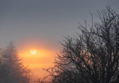 Güneş sisin içinden parlıyor, ağaçların silueti tersine dönüyor. Sakin Çek sabah sahnesi