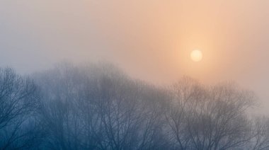 Güneş sisin içinden parlıyor, ağaçların silueti tersine dönüyor. Sakin Çek sabah sahnesi