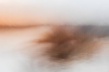 Gölette ve siste Reed otları. Kasıtlı kamera hareketi, soyut manzara arkaplanı