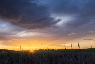 Dramatik günbatımı gökyüzü olan sazlıklar. Çek doğası geçmişi