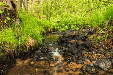 İlkbaharda küçük bir orman deresi. Uzun pozlama, Çek doğası geçmişi