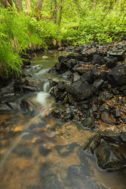 İlkbaharda küçük bir orman deresi. Uzun pozlama, Çek doğası geçmişi