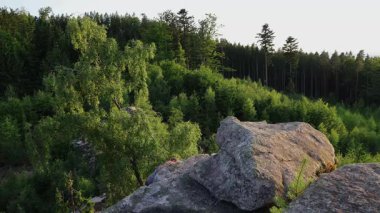 Genç adam arkasında ağaç tepesiyle taş kayaya tırmanıyor. Etkin yaşam tarzı arkaplanı