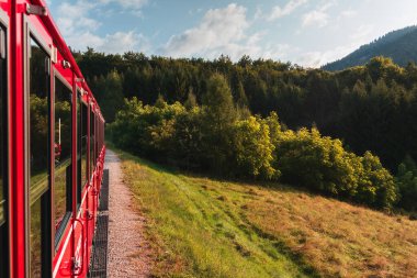 Schafbergbahn geleneksel çarklı tren yolu Schafberg Dağı 'nın zirvesinde. Turist eğlencesi