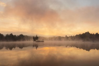 Altın saatinde, sabah gölette sis. Çek manzarasının sakin arka planı