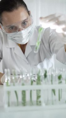 Laboratuvar önlüğü, beyaz eldivenler, yüz maskesi ve koruyucu gözlük takan kadın bilim adamı, içinde bitkiler olan dikey portre manzaralı bir test tüpü tutuyor. Bilim ve tıp.
