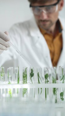 Laboratuvar önlüğü, beyaz eldiven ve koruyucu gözlük giyen bilim adamı, bir pipetten damlayan sıvıyı, içinde dikey yakın görüş olan yeşil bir bitki bulunan bir test tüpüne döküyor. Bilim ve tıp.
