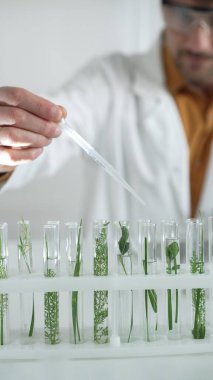 Laboratuvar önlüğü ve koruyucu gözlük takan insan bilim araştırmacısı, yeşil bir bitkiyle bir deney tüpünün içine pipetten sıvı damlatıyor. Yüzü dikey bir portreye odaklanmış. Bilim ve