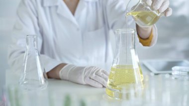 Laboratuvar önlüğü ve beyaz koruyucu eldiven giyen bir bilim adamı, laboratuarda bir şişeden diğerine sarı yağlı bir sıvı döküyor, kapatın. Tıp ve bilim konsepti.