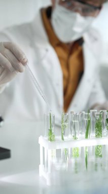 Laboratuvar önlüğü giyen bilim adamı, beyaz koruyucu eldivenler ve yüz maskesi laboratuarda analiz etmek için bitkiler içeren test tüplerine sıvı damlatıyor. Bilim ve tıp kavramları.