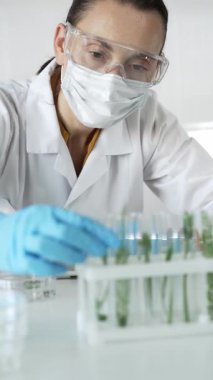 Laboratuvar önlüğü, mavi eldiven, yüz maskesi ve koruyucu gözlük takan kadın bilim adamı, içinde bitkiler olan dikey portre manzaralı bir test tüpü tutuyor. Bilim ve tıp kavramları.