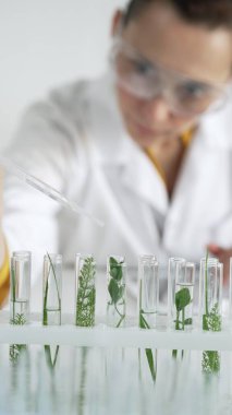 Laboratuvar önlüğü giyen kadın bilim adamı, pipetten damlayan sıvıyı içinde yeşil bir bitki bulunan test tüpüne damlatıyor, dikey yakın görüş. Bilim ve tıp kavramları.