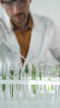 Laboratuvar önlüğü, beyaz eldiven ve koruyucu gözlük giyen bilim adamı, bir pipetten damlayan sıvıyı, içinde dikey yakın görüş olan yeşil bir bitki bulunan bir test tüpüne döküyor. Bilim ve tıp.