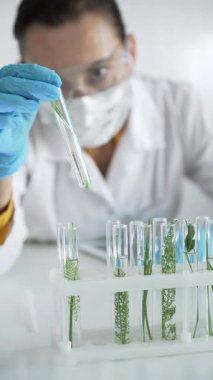 Laboratuvar önlüğü, mavi eldiven, yüz maskesi ve koruyucu gözlük takan kadın bilim adamı, içinde bitkiler olan dikey portre manzaralı bir test tüpü tutuyor. Bilim ve tıp kavramları.