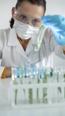 Laboratuvar önlüğü, mavi eldiven, yüz maskesi ve koruyucu gözlük takan kadın bilim adamı, içinde bitkiler olan dikey portre manzaralı bir test tüpü tutuyor. Bilim ve tıp kavramları.