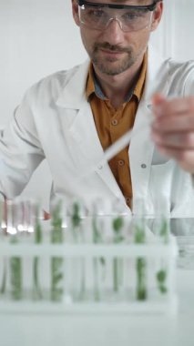 Laboratuvar önlüğü, beyaz eldiven ve koruyucu gözlük giyen bilim adamı, bir pipetten damlayan sıvıyı, içinde dikey yakın görüş olan yeşil bir bitki bulunan bir test tüpüne döküyor. Bilim ve tıp.