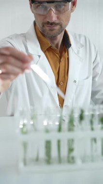 Laboratuvar önlüğü, beyaz eldiven ve koruyucu gözlük giyen bilim adamı, bir pipetten damlayan sıvıyı, içinde dikey yakın görüş olan yeşil bir bitki bulunan bir test tüpüne döküyor. Bilim ve tıp.