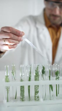 Laboratuvar önlüğü, beyaz eldiven ve koruyucu gözlük giyen bilim adamı, bir pipetten damlayan sıvıyı, içinde dikey yakın görüş olan yeşil bir bitki bulunan bir test tüpüne döküyor. Bilim ve tıp.