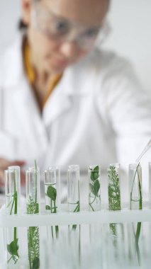 Laboratuvar önlüğü giyen kadın bilim adamı, pipetten damlayan sıvıyı içinde yeşil bir bitki bulunan test tüpüne damlatıyor, dikey yakın görüş. Bilim ve tıp kavramları.