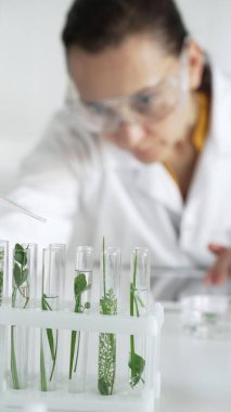 Laboratuvar önlüğü giyen kadın bilim adamı, pipetten damlayan sıvıyı içinde yeşil bir bitki bulunan test tüpüne damlatıyor, dikey yakın görüş. Bilim ve tıp kavramları.