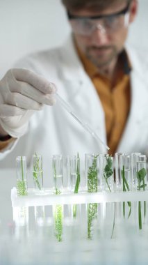 Laboratuvar önlüğü, beyaz eldiven ve koruyucu gözlük giyen bilim adamı, pipetten damlayan sıvıyı, içinde dikey portre olan yeşil bir bitki bulunan bir test tüpüne damlatıyor. Bilim ve tıp kavramları.