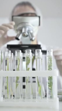 Test tüplerini mikroskop ile bitki örneklerini inceleyen bir bilim adamıyla kapatın. Laboratuvarda araştırma yapın. Tıp, sağlık ve bilim konsepti.