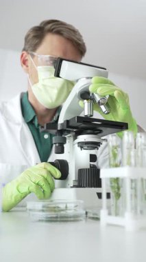 Yeşil maske takan erkek bilim adamı mikroskop kullanarak test tüplerindeki bitki örneklerini analiz ediyor ve laboratuvardaki petri kabını inceleyerek biyolojik araştırma yapıyor. Tıp ve bilim konsepti