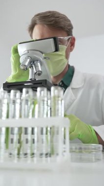 Yeşil maske takan erkek bilim adamı mikroskop kullanarak test tüplerindeki bitki örneklerini analiz ediyor ve laboratuvardaki petri kabını inceleyerek biyolojik araştırma yapıyor. Tıp ve bilim konsepti