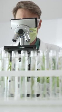 Yeşil maske takan erkek bilim adamı mikroskop kullanarak test tüplerindeki bitki örneklerini analiz ediyor ve laboratuvardaki petri kabını inceleyerek biyolojik araştırma yapıyor. Tıp ve bilim konsepti