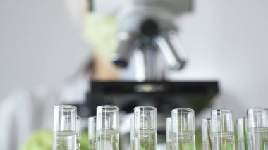 Laboratuvarda mikroskopla bitki örneklerini test tüplerinde inceleyen bir bilim adamıyla test tüplerini kapatın. Tıp, sağlık ve bilim konsepti.
