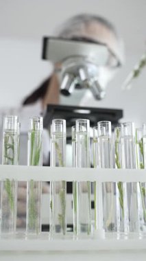 Test tüplerini mikroskop ile bitki örneklerini inceleyen bir bilim adamıyla kapatın. Laboratuvarda araştırma yapın. Tıp, sağlık ve bilim konsepti.