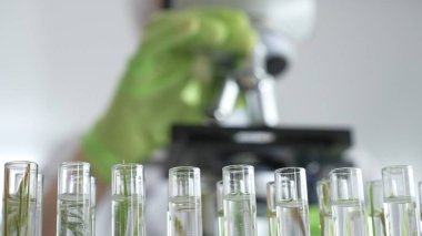 Test tüplerini mikroskop ile bitki örneklerini inceleyen bir bilim adamıyla kapatın. Laboratuvarda araştırma yapın. Tıp, sağlık ve bilim konsepti.