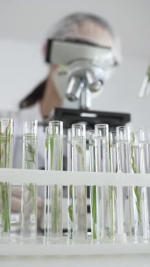 Test tüplerini mikroskop ile bitki örneklerini inceleyen bir bilim adamıyla kapatın. Laboratuvarda araştırma yapın. Tıp, sağlık ve bilim konsepti.