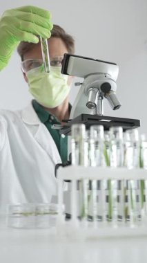 Koruyucu giysi giyen erkek bilim adamı mikroskop, cam ve bilimsel ekipman yakınında yeşil bitki örnek tüpünü analiz ediyor. Tıp, sağlık ve bilim konsepti.