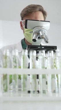Yeşil maske takan erkek bilim adamı mikroskop kullanarak test tüplerindeki bitki örneklerini analiz ediyor ve laboratuvardaki petri kabını inceleyerek biyolojik araştırma yapıyor. Tıp ve bilim konsepti