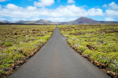 Ufuktaki volkanlara uzanan siyah asfalt yol, Lanzarote, Kanarya Adaları, İspanya