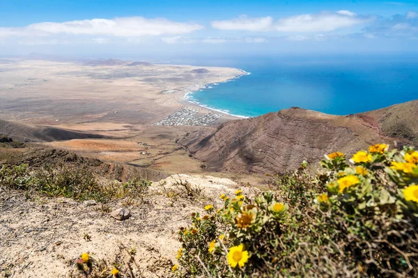 Beautiful Lanzarote Landscape Famara Yellow Flowers Foreground Canary Islands Spain — Stock Photo, Image