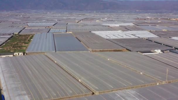Aerial View Huge Area Greenhouses Almeria Andalusia Spain — Vídeos de Stock