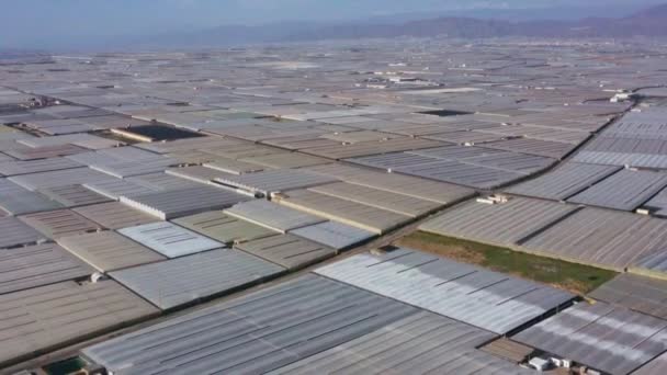 Aerial View Huge Area Greenhouses Almeria Andalusia Spain — стоковое видео