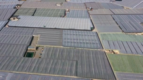 Aerial View Huge Area Greenhouses Almeria Andalusia Spain — Αρχείο Βίντεο