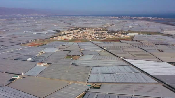 Aerial View Huge Area Greenhouses Almeria Andalusia Spain — 图库视频影像